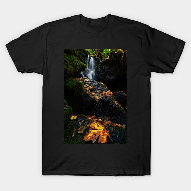 Autumn Waterfall T-Shirt by JeffreySchwartz